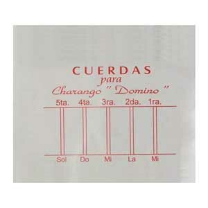 Has agregado este producto a tu  lista de deseos