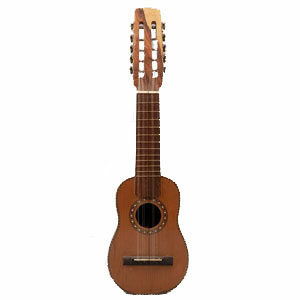 Has agregado este producto a tu  lista de deseos