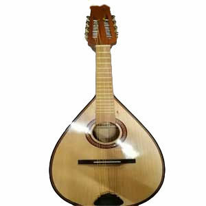 Has agregado este producto a tu  lista de deseos