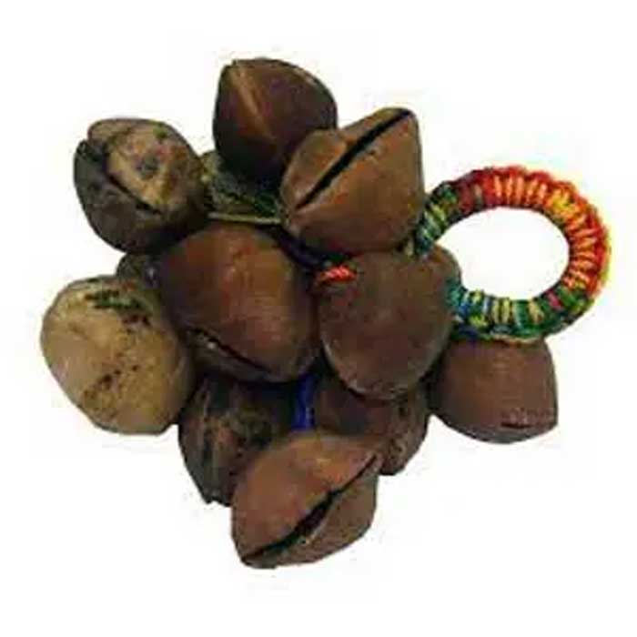 Racimo de Ayoyote