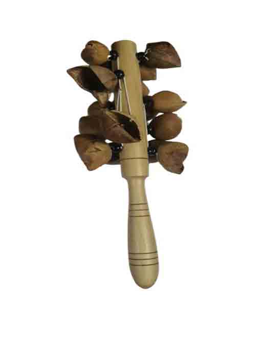 Sonaja de ayoyote